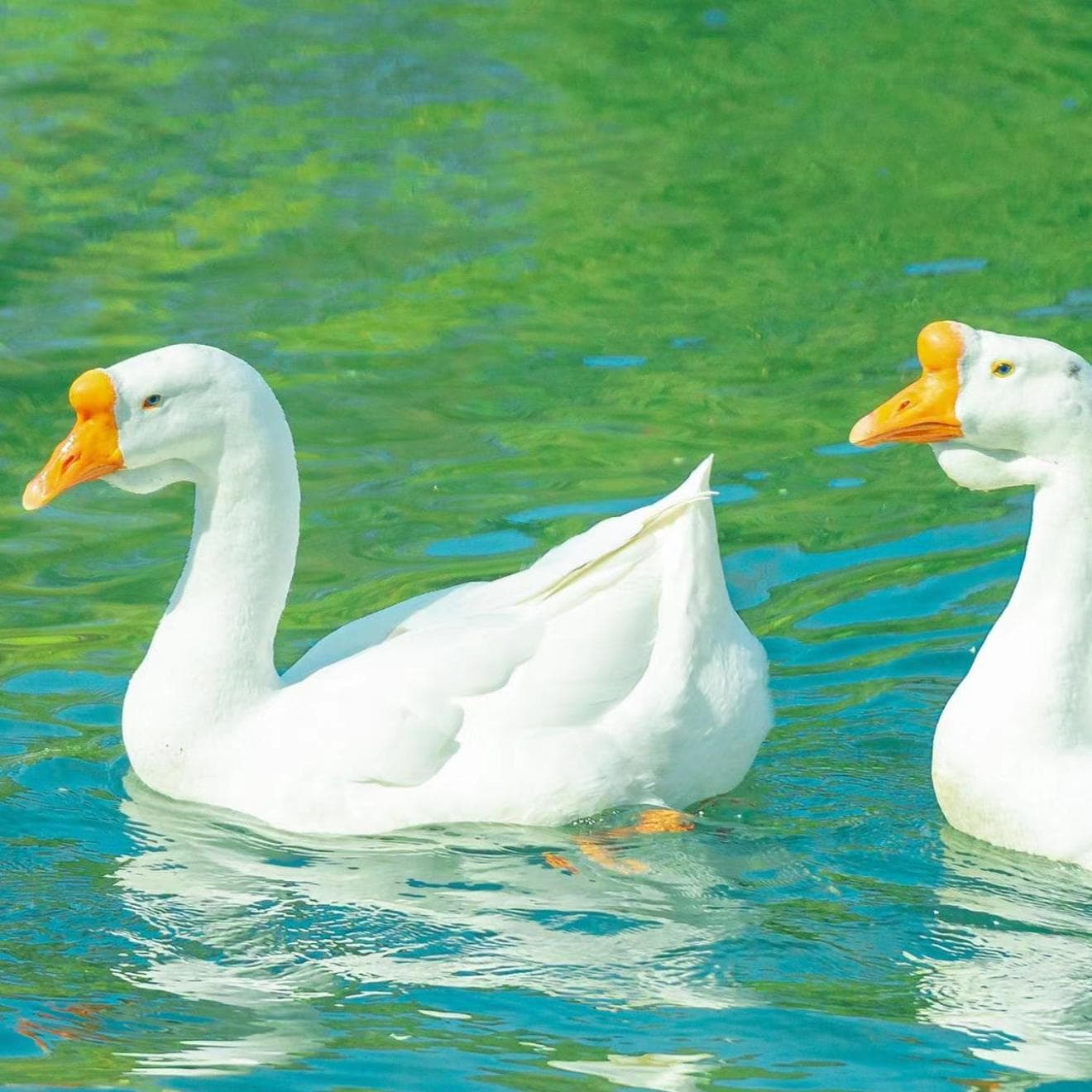 华语R&B：已经听了一百遍 怎么听都不会倦