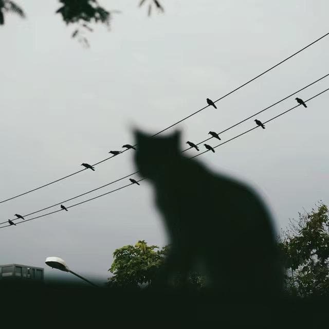 合伙人爱听｜令人沉沦的宝藏欧美R&B